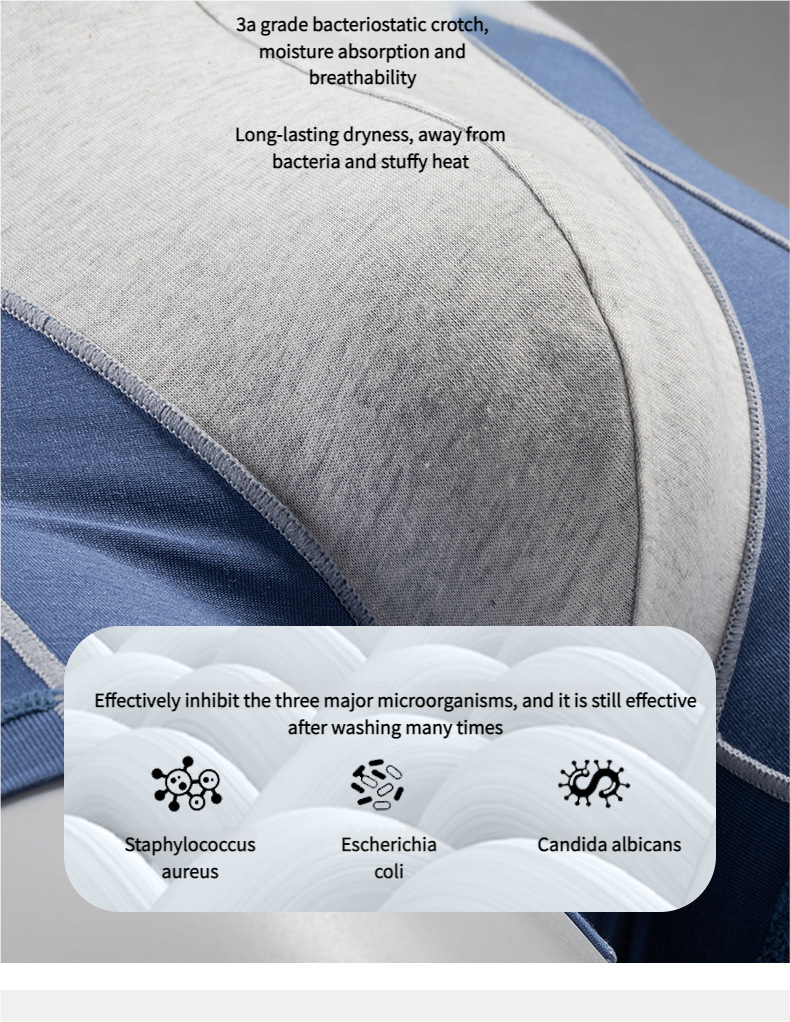 Purple Door 3pcs Men's Modal Skin Friendly and Breathable Underwear