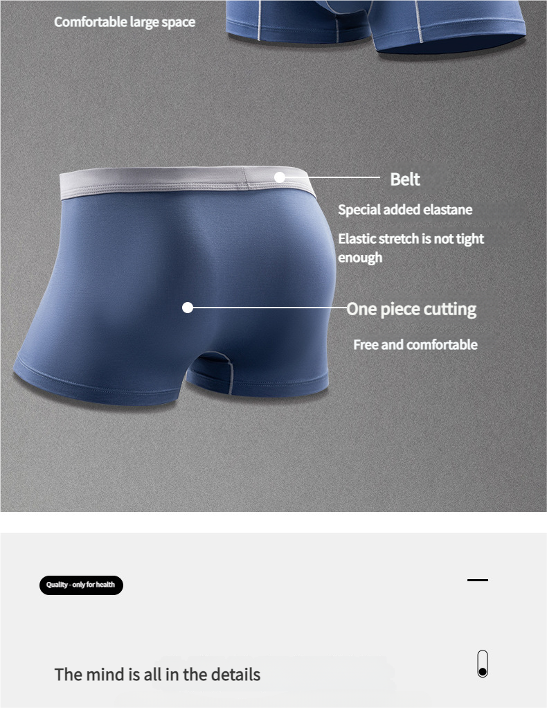 Purple Door 3pcs Men's Modal Skin Friendly and Breathable Underwear